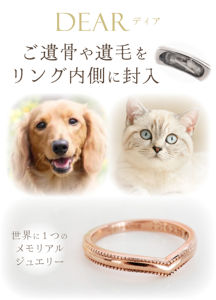 ペット 遺骨 リング 指輪 DEAR ディア ...の詳細画像2