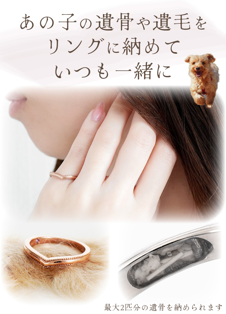 ペット 遺骨 リング 指輪 DEAR ディア ...の詳細画像3