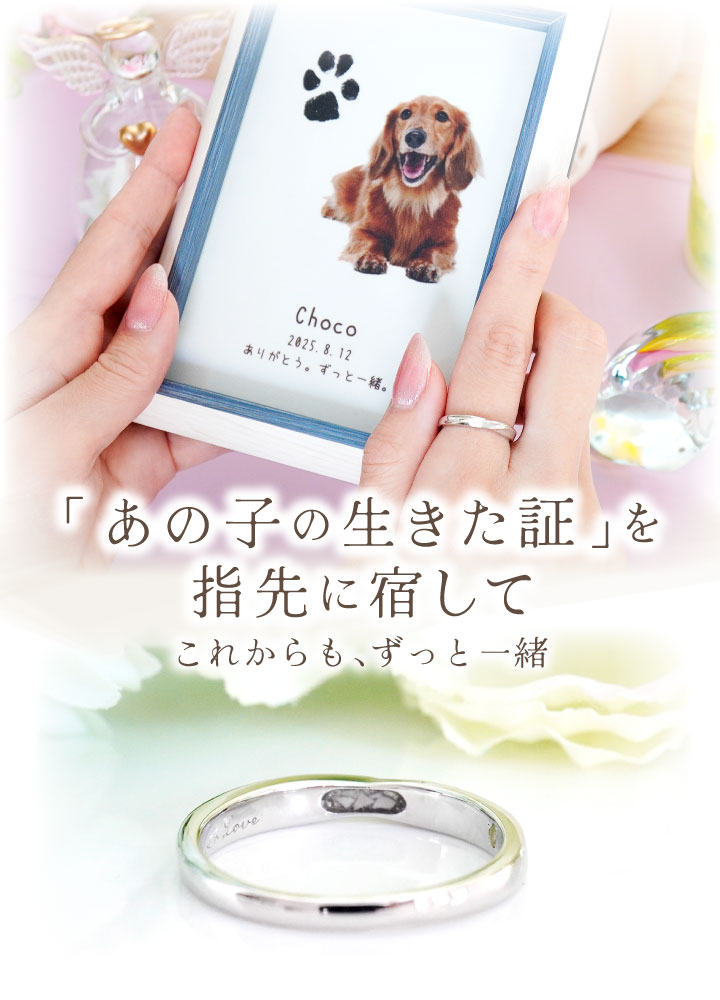 ペット 遺骨 リング 指輪 DEAR ディア ...の詳細画像1