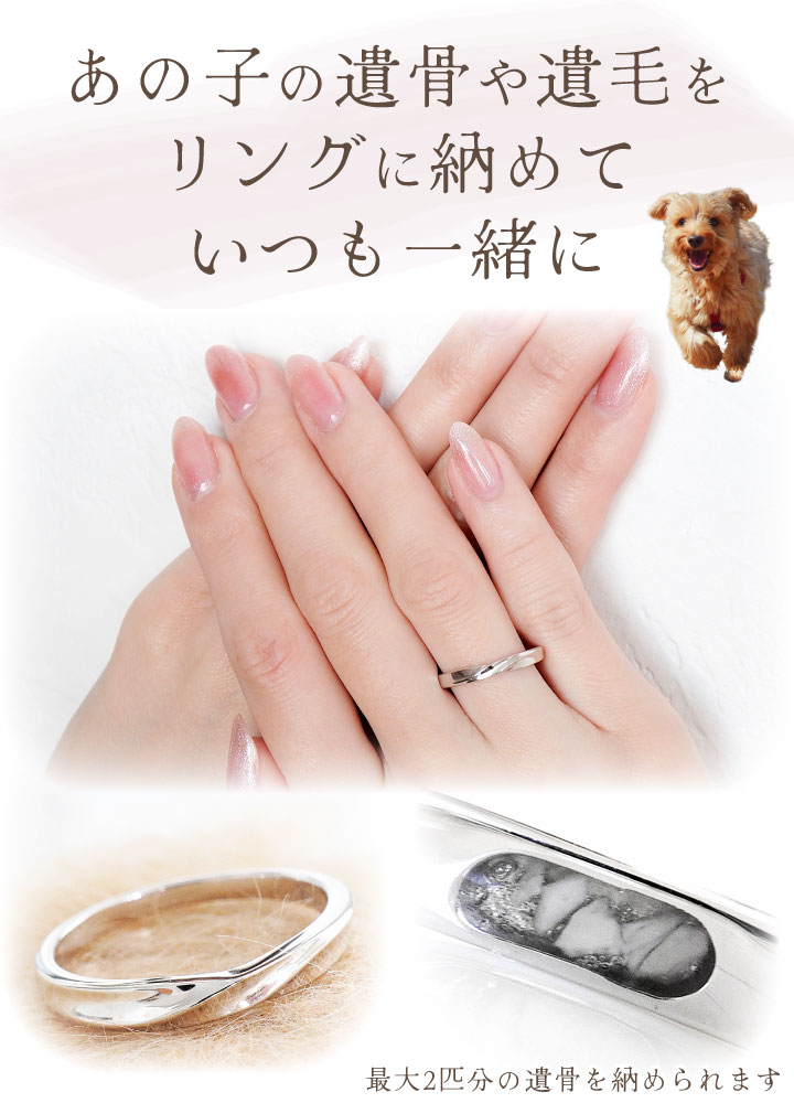 ペット 遺骨 リング 指輪 DEAR ディア ...の詳細画像3