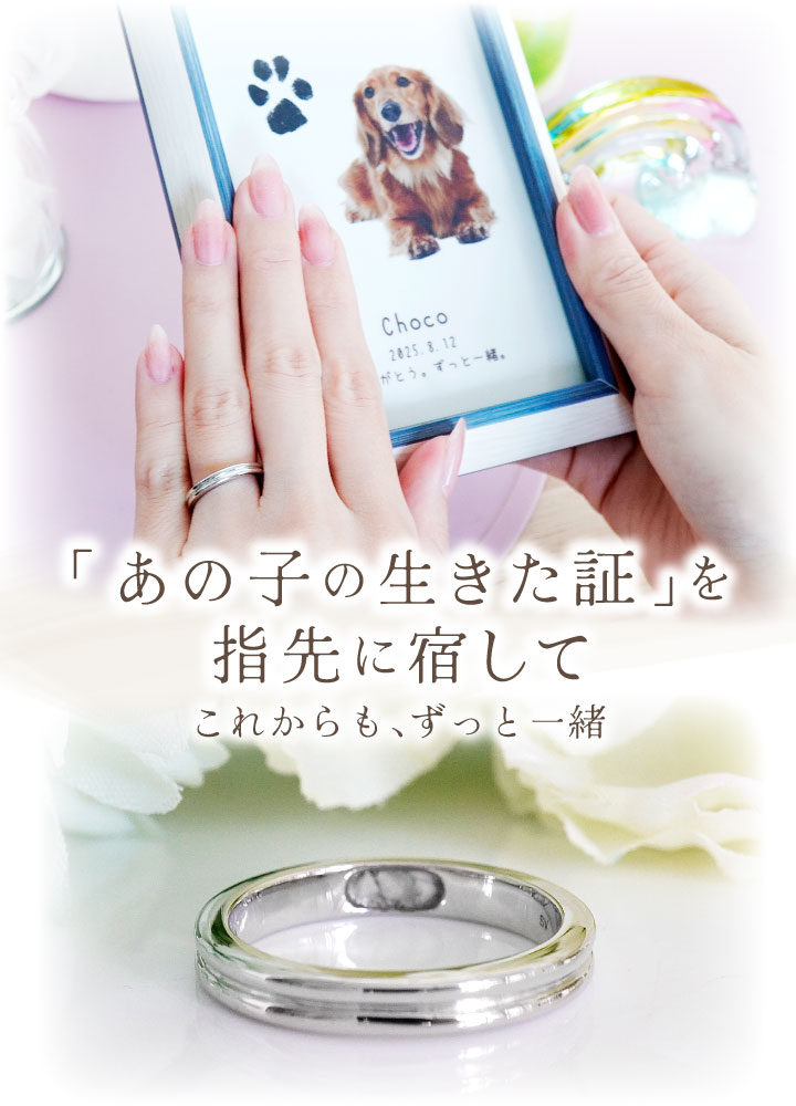 ペット 遺骨 リング 指輪 DEAR ディア ...の詳細画像1