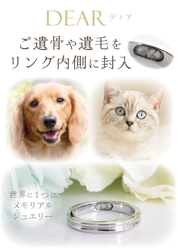 ペット 遺骨 リング 指輪 DEAR ディア ...の詳細画像2