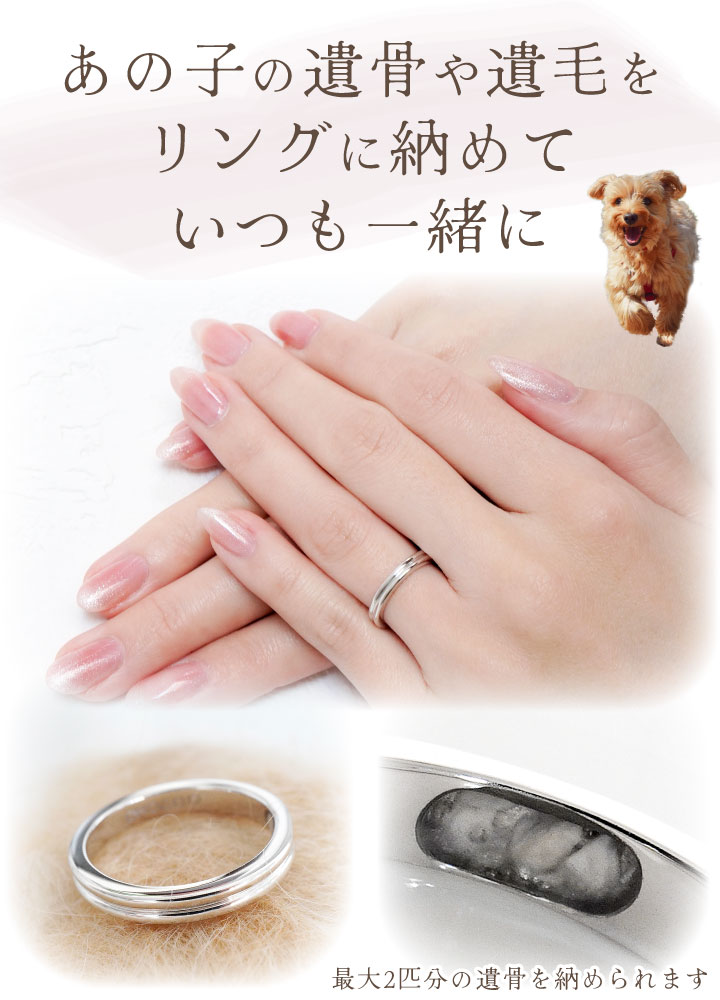 ペット 遺骨 リング 指輪 DEAR ディア ...の詳細画像3