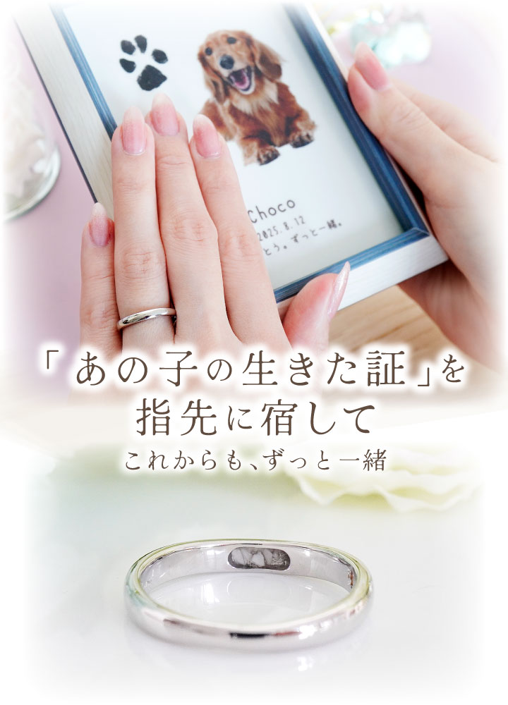 ペット 遺骨 リング 指輪 DEAR ディア ...の詳細画像1
