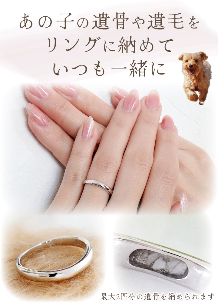ペット 遺骨 リング 指輪 DEAR ディア ...の詳細画像3
