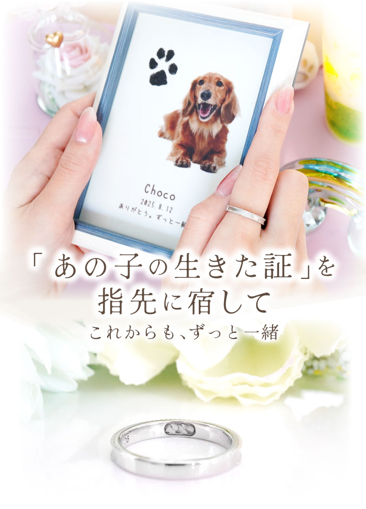 ペット 遺骨 リング 指輪 DEAR ディア 