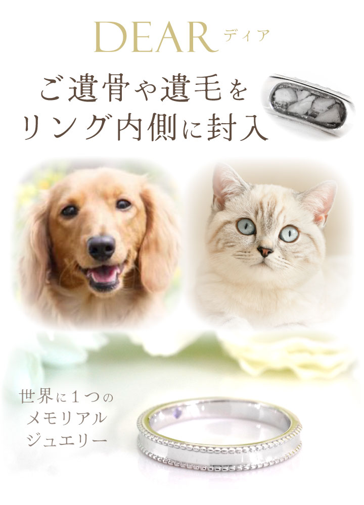 ペット 遺骨 リング 指輪 DEAR ディア ...の詳細画像2