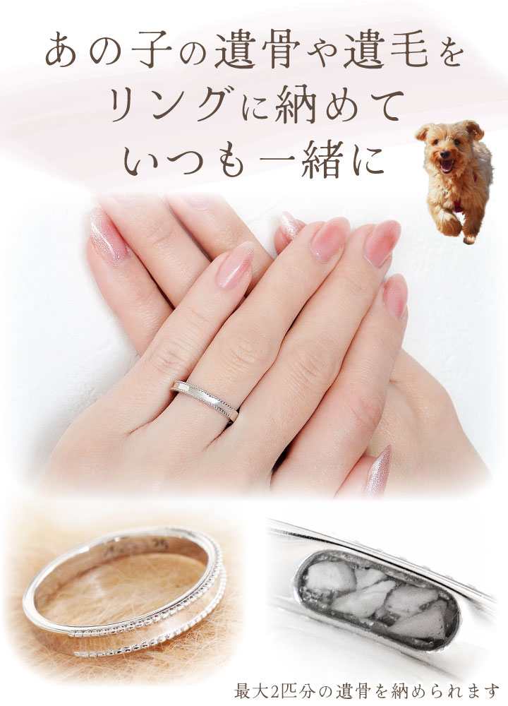 ペット 遺骨 リング 指輪 DEAR ディア ...の詳細画像3