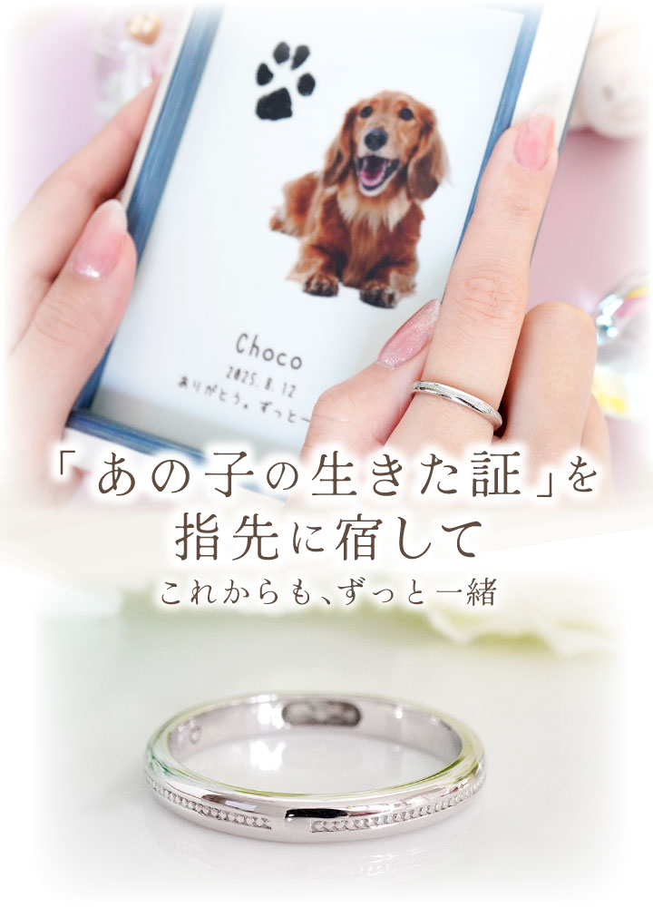 ペット 遺骨 リング 指輪 DEAR ディア ...の詳細画像1