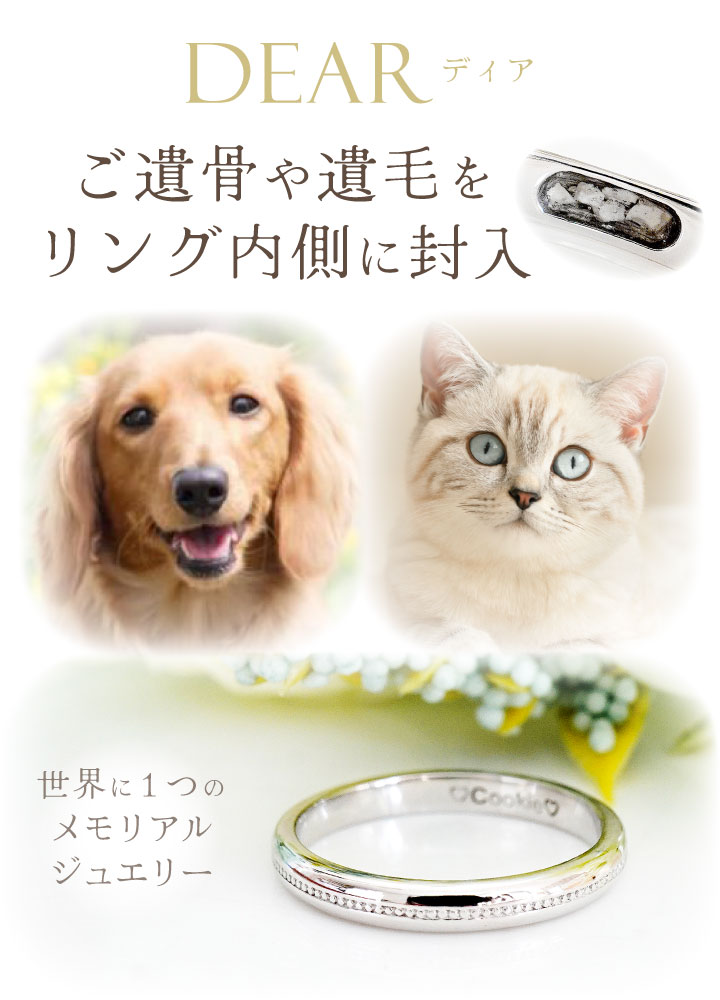ペット 遺骨 リング 指輪 DEAR ディア ...の詳細画像2