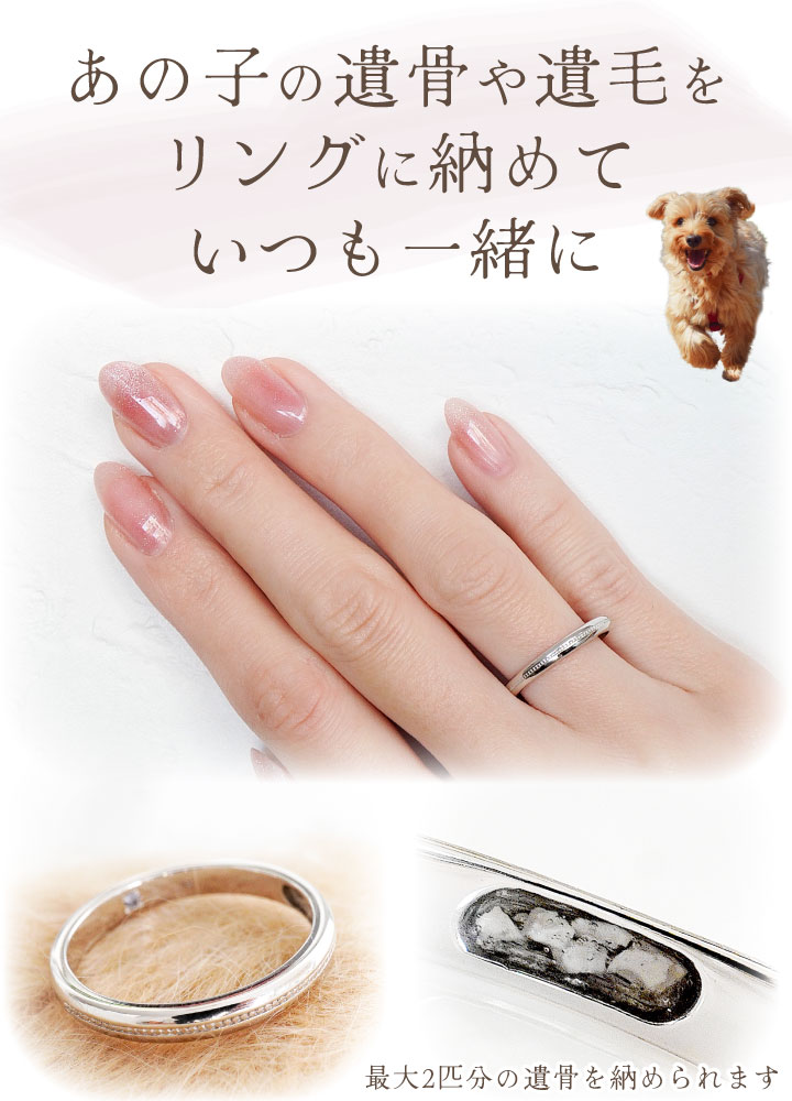 ペット 遺骨 リング 指輪 DEAR ディア ...の詳細画像3