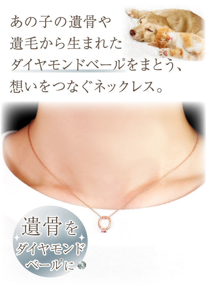 ペット 遺骨 ダイヤモンド ペンダント ABB...の詳細画像1