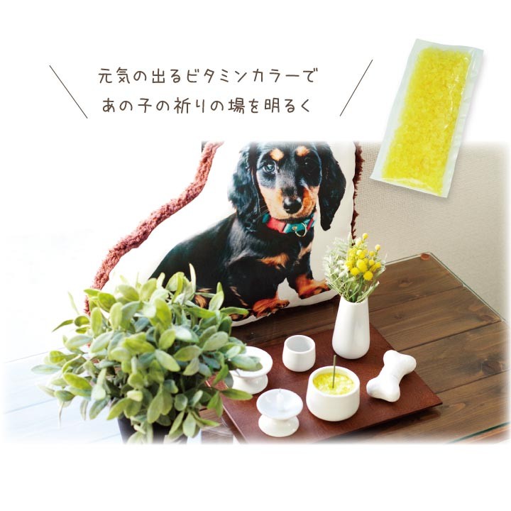 ペット仏具 香炉用ガラスチップ 100g 全8色 虹 香炉 香炉石 香炉灰 線香立て レッド ピンク オレンジ イエロー ホワイト ブルー グリーン ネコポス送料無料 関連画像4