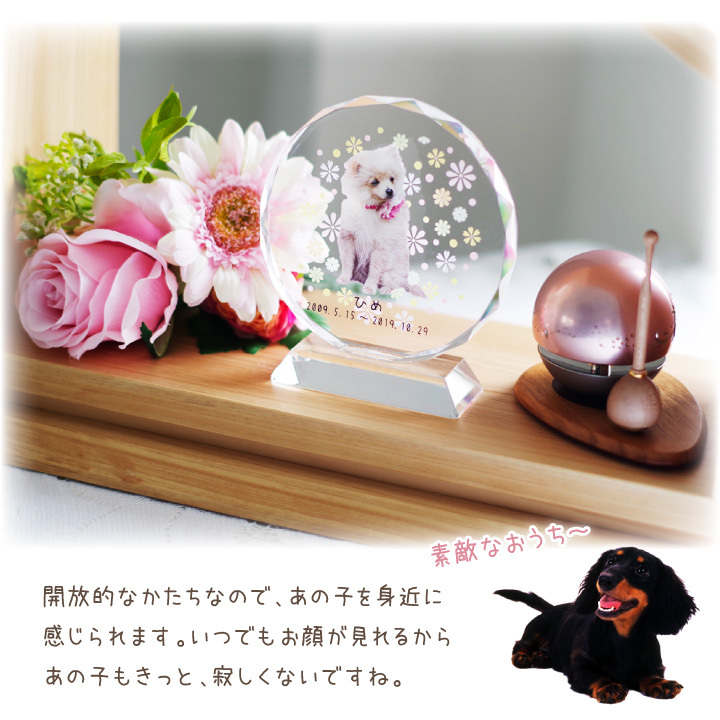 ペット仏壇 ヒノキの 仏壇 おうち型 木製 おしゃれ かわいい : f00dp43