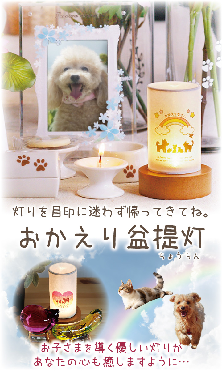 ペット 盆提灯 お盆 ペット提灯 おかえり盆提灯 虹の橋 ペット供養 LED ネームプレート付 コードレス pset 関連画像1