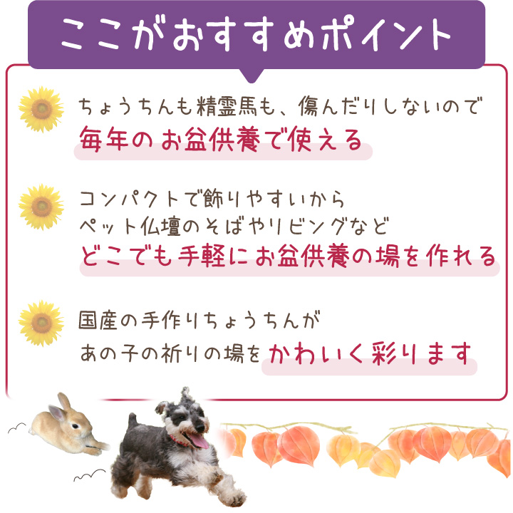 ペット お盆 丸型 ペット提灯 & クリスタル 精霊馬 セット ペット供養 ネームプレート 桜 花 足あと pset 関連画像4