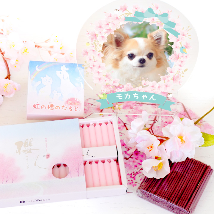 ペット仏具 春のお供えセット 桜 さくら ろうそく 線香 造花 ペット仏具 春のお供えセット 桜 さくら ろうそく 線香 造花