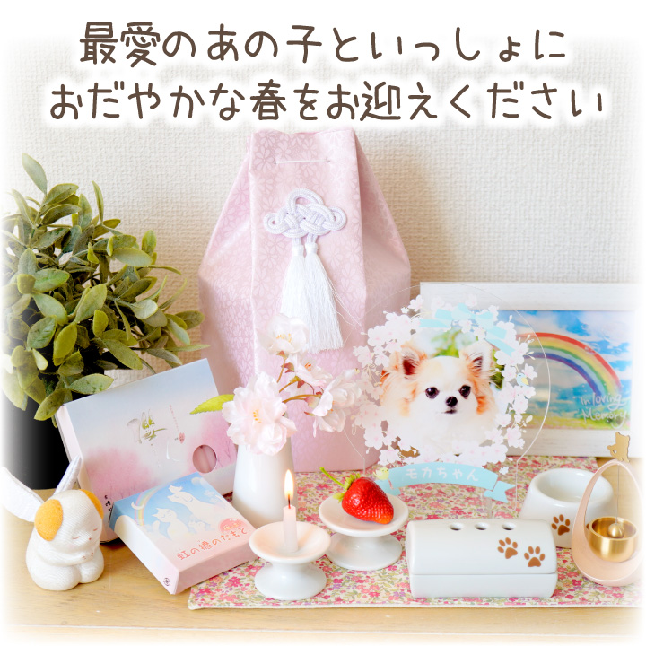 ペット仏具 春のお供えセット 桜 さくら ろうそく 線香 造花 ペット仏具 春のお供えセット 桜 さくら ろうそく 線香 造花