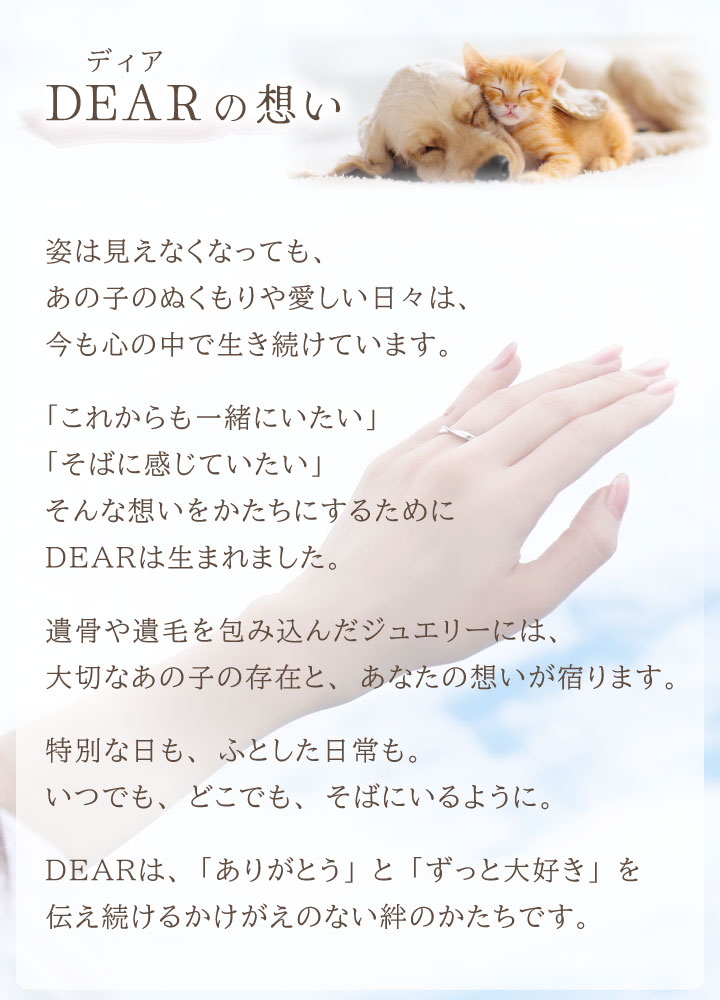 ペット 遺骨 リング 指輪 DEAR ディア ...の詳細画像5