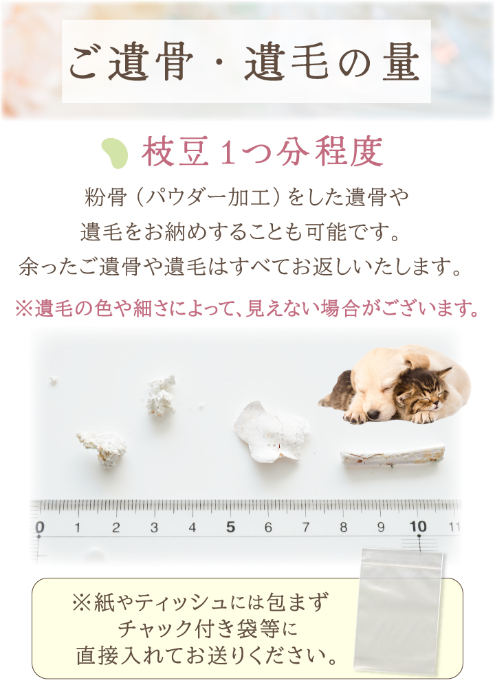 DEARご遺骨の量