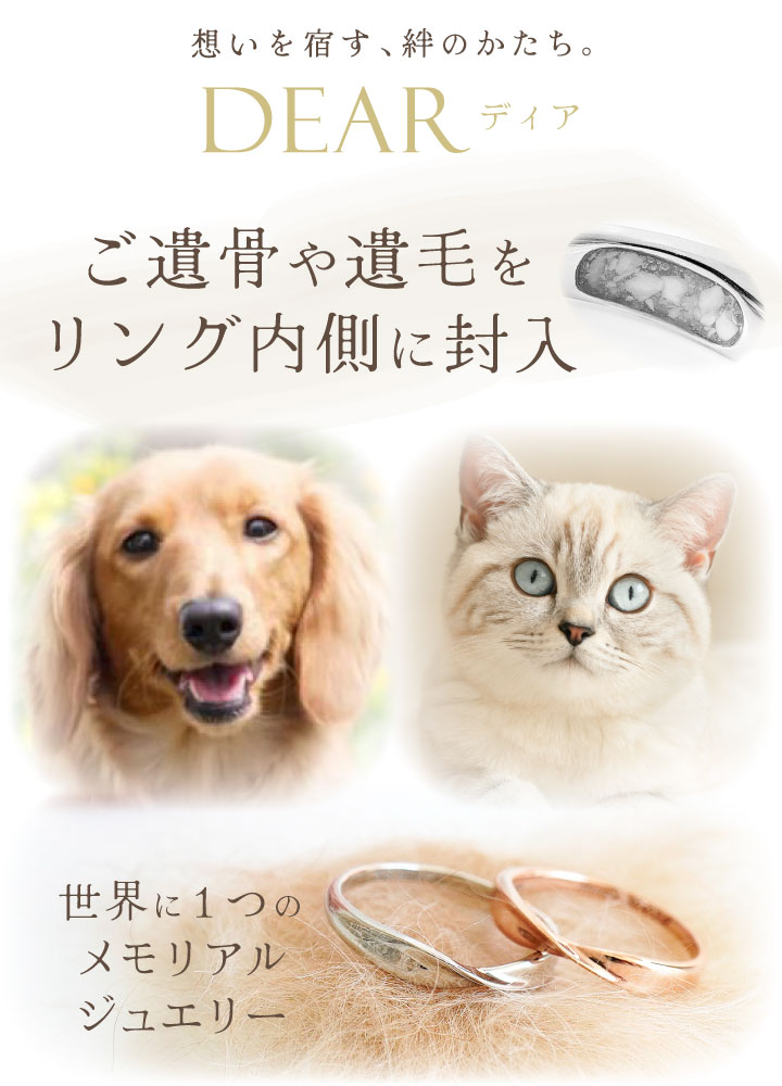 ペット 遺骨 リング 指輪 DEAR ディア ...の詳細画像2