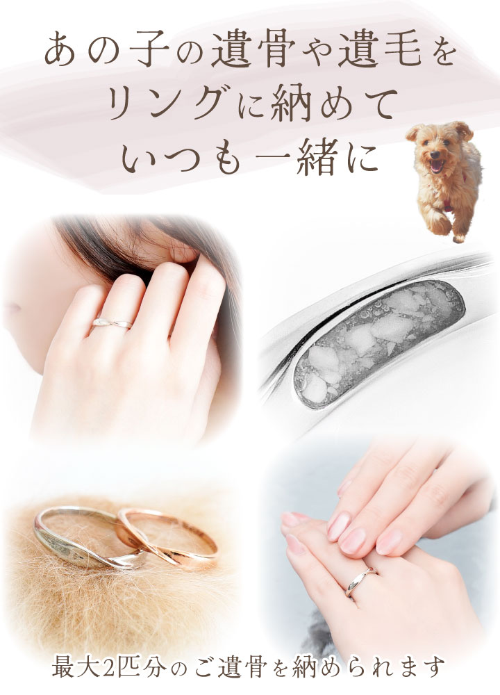 ペット 遺骨 リング 指輪 DEAR ディア ...の詳細画像3