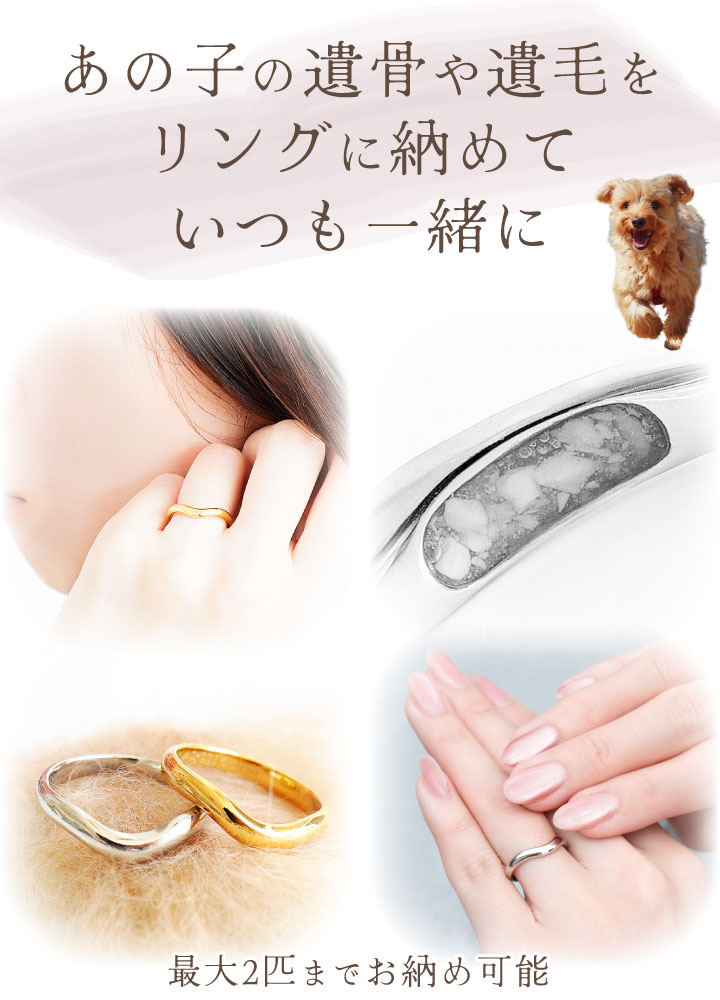 ペット 遺骨 リング 指輪 DEAR ディア ...の詳細画像3