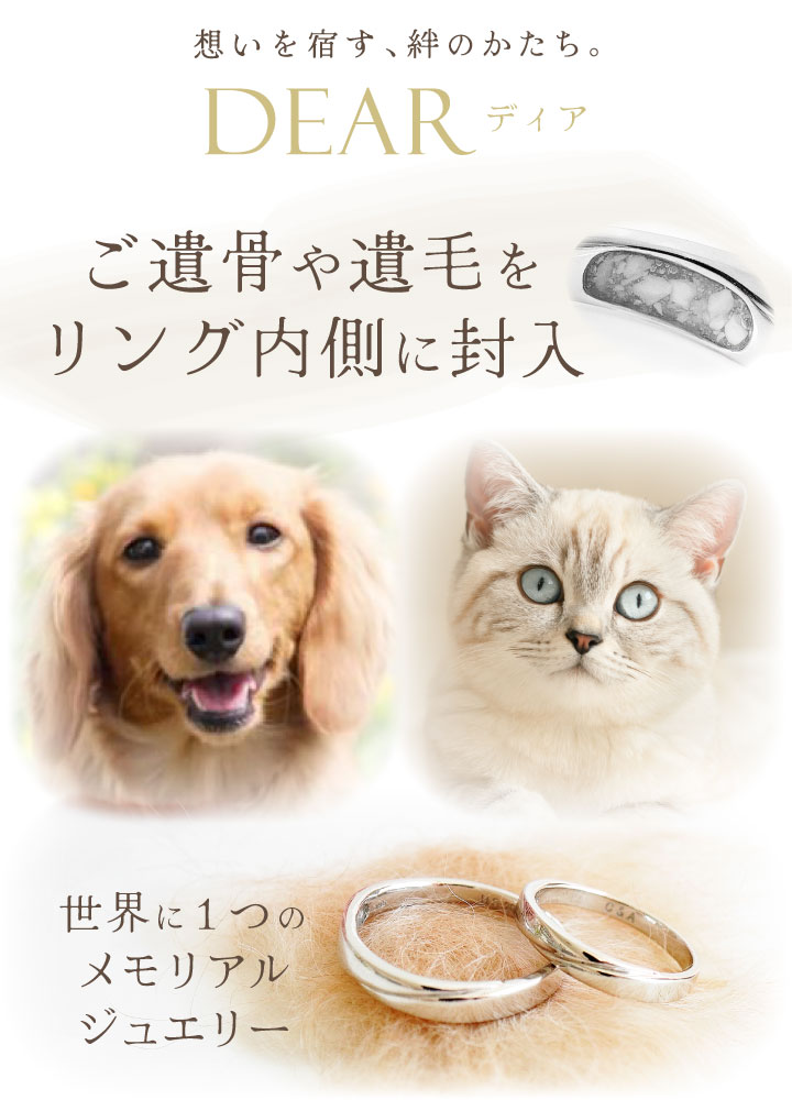 ペット 遺骨 リング 指輪 DEAR ディア ...の詳細画像2