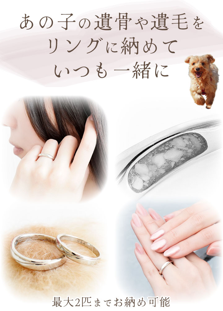 ペット 遺骨 リング 指輪 DEAR ディア 