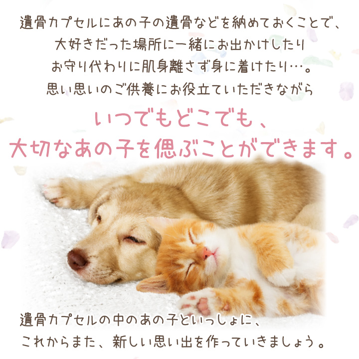 ペット 遺骨カプセル カラー 巾着 ガラス ボトル セット キーホルダー S ネコポス送料無料 関連画像3