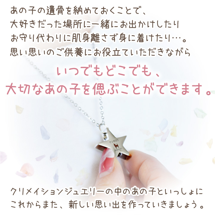 ペット 遺骨ペンダント キーホルダー 刻印 ステンレス 名入れ 金属アレルギー対応 ネコポス送料無料_13
