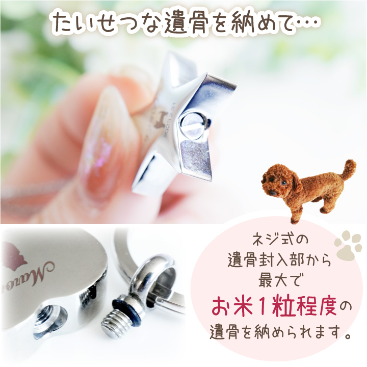 ペット 遺骨ペンダント キーホルダー 刻印 ステンレス 名入れ 金属アレルギー対応 ネコポス送料無料_6