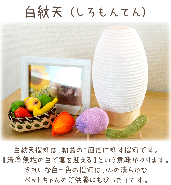 盆提灯