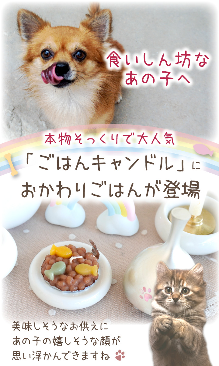 ペット ごはんキャンドル おかわり用 詰替 詰め替え わんちゃん ねこちゃん 本物そっくり ネコポス対応 関連画像2