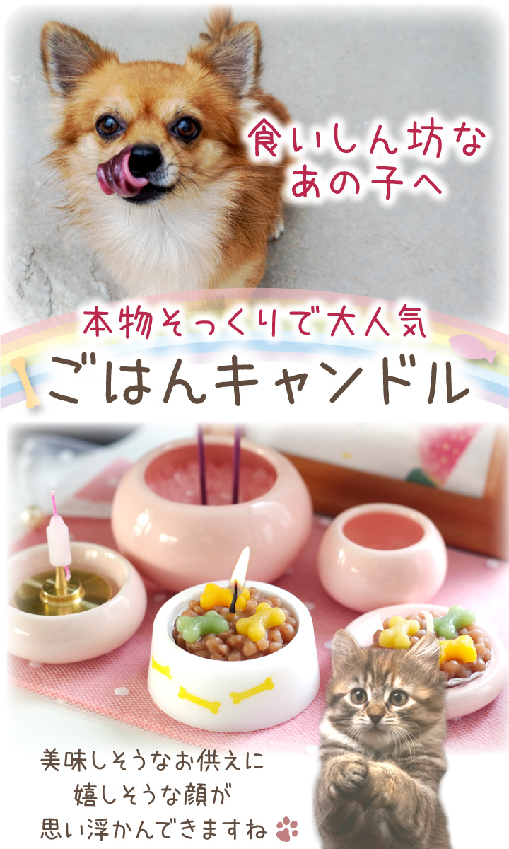 ペット ごはんキャンドル わんちゃん ねこちゃん 本物そっくり 関連画像2
