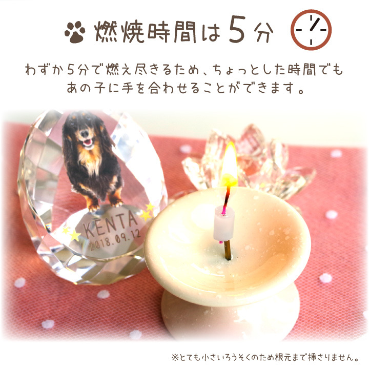 ペット ろうそく 超ミニ寸 約5分燃焼 ロウソク ローソク カラフル 虹の橋 白芯 ネコポス対応 関連画像2