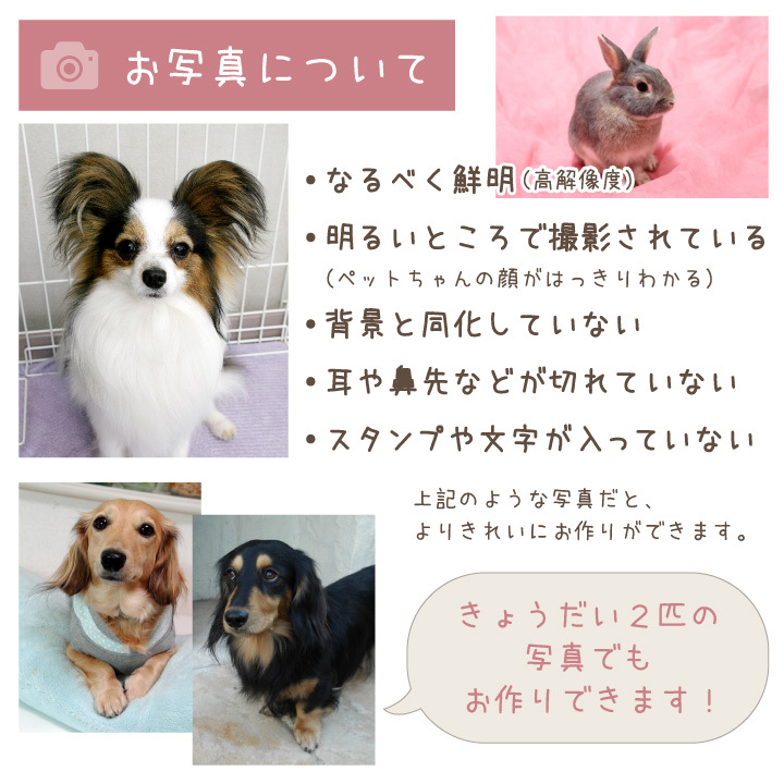 ペットの写真で作るニットストール