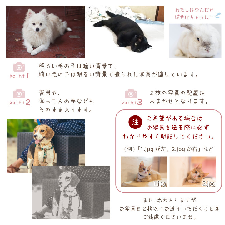 ペットの写真で作るニットストール