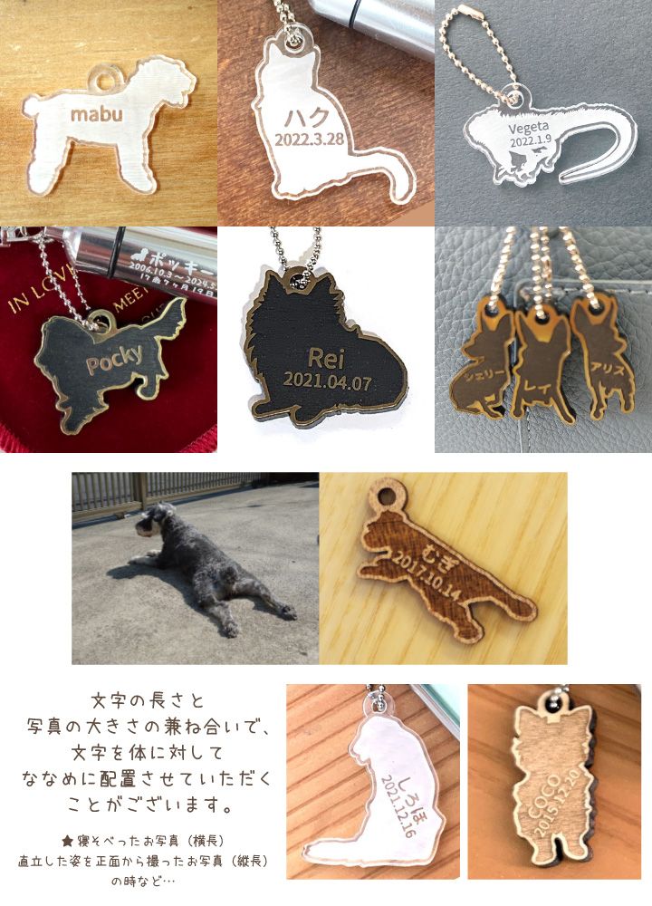 ペットメモリアル