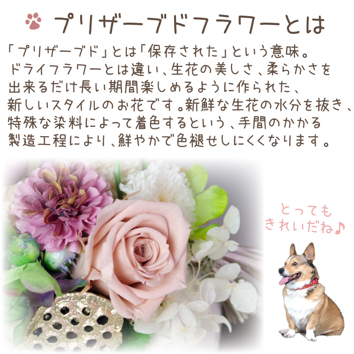 【ラッピング付】ペット お悔み 花 仏花 プリ...の詳細画像4