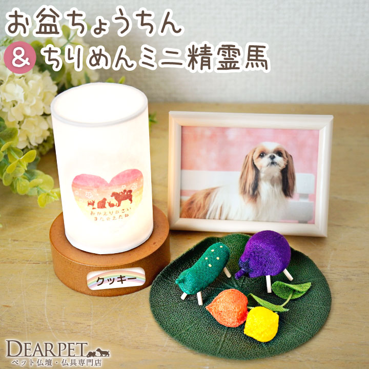 ペット お盆 おかえり 提灯 & ちりめん ミニ 精霊馬 ほおずき 蓮の葉