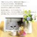 ペット仏具 花立 国産 ミニ 花瓶 お供え 花 ※お花は別売りです 関連画像1