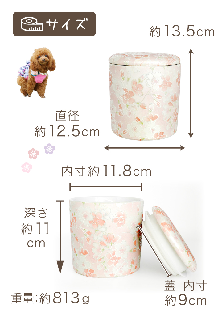 サイズ