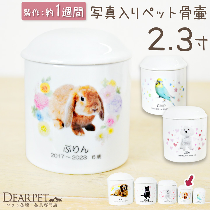 ペット 写真 名入れ 骨壷 2.3寸 オリジナル ミニ骨壷 骨壺 分骨 ペット用 かわいい｜dearpet