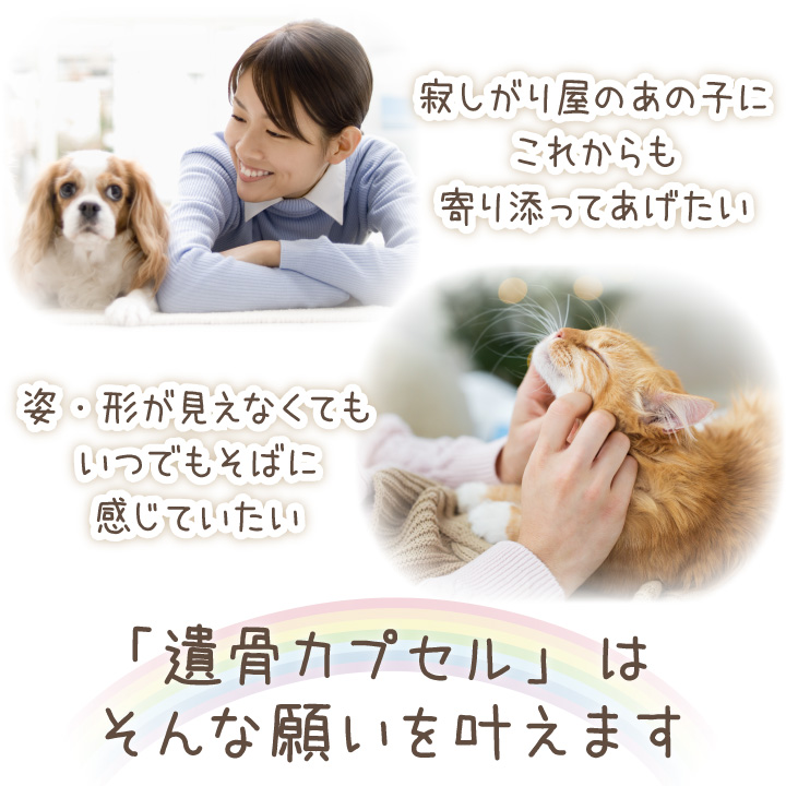 ペット 遺骨カプセル カラー 巾着 ガラス ボトル セット キーホルダー S ネコポス送料無料 関連画像2