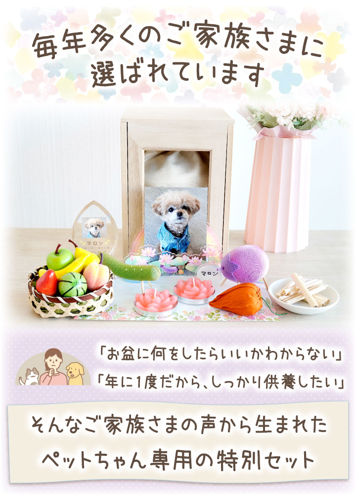 【10%OFF】ペット お盆 お迎えセット 新盆 初盆 ちりめん 精霊馬 セット 初めてでも安心 13点 お盆飾り お供え 関連画像1