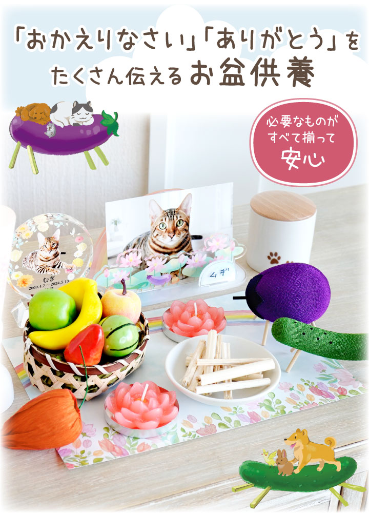 【10%OFF】ペット お盆 お迎えセット 新盆 初盆 ちりめん 精霊馬 セット 初めてでも安心 13点 お盆飾り お供え 関連画像3