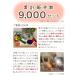 【10%OFF】ペット お盆 お迎えセット 新盆 初盆 ちりめん 精霊馬 セット 初めてでも安心 13点 お盆飾り お供え 関連画像5