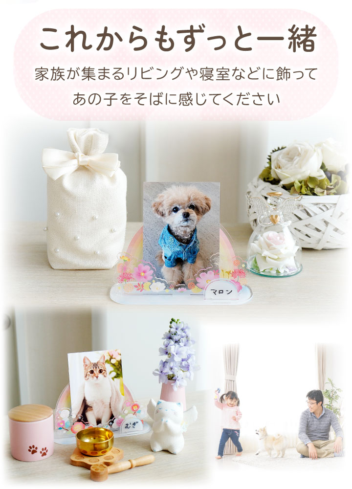 受注生産 ペット お供え お飾り 虹の橋 アクリルスタンド きせかえパーツ セット ネームプレート 季節 アクスタ ネコポス対応 ※写真パーツは付属しません 関連画像2