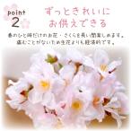 ペット仏具 お供え さくら 桜 造花 ピック ...の詳細画像4